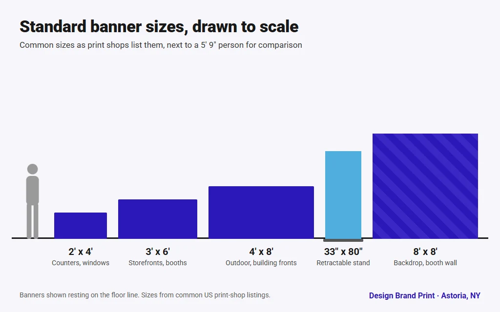 Standard banner sizes drawn to scale: 2x4, 3x6 and 4x8 vinyl banners, a 33x80 retractable and an 8x8 backdrop